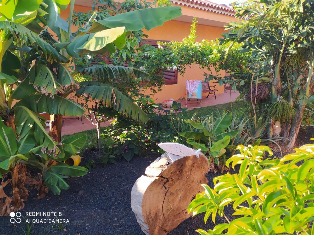 Вилла Energy Garden Бахамар Экстерьер фото